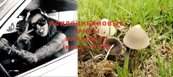 ПСИЛОЦИБИНОВЫЕ ГРИБЫ Володарск