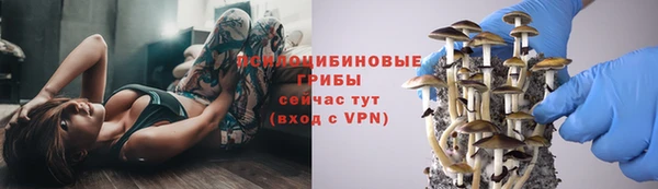 МДПВ Верея