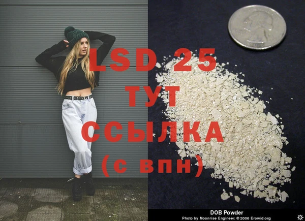 mix Бородино