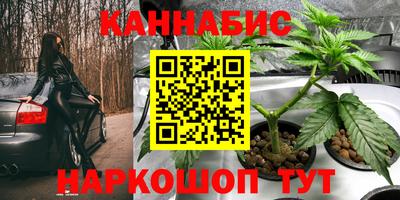 амф Обь