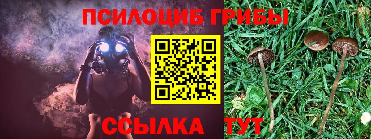 Псилоцибиновые грибы Magic Shrooms  Псилоцибиновые грибы Magic Shrooms  Семилуки  Вход с VPN 