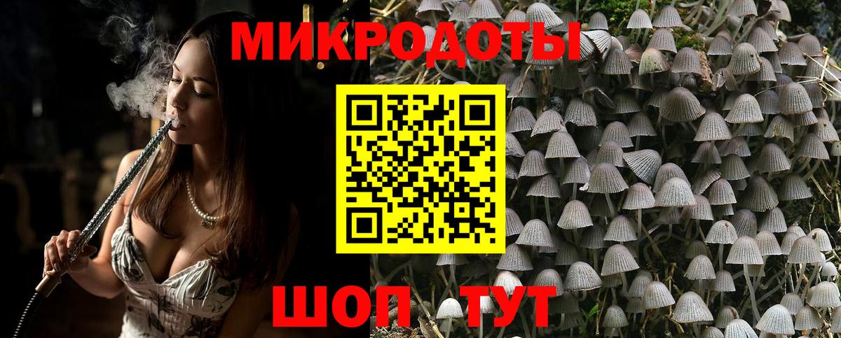 Галлюциногенные грибы прущие грибы Семилуки