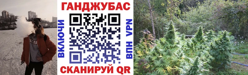 где купить наркоту  Семилуки  Канабис гибрид 